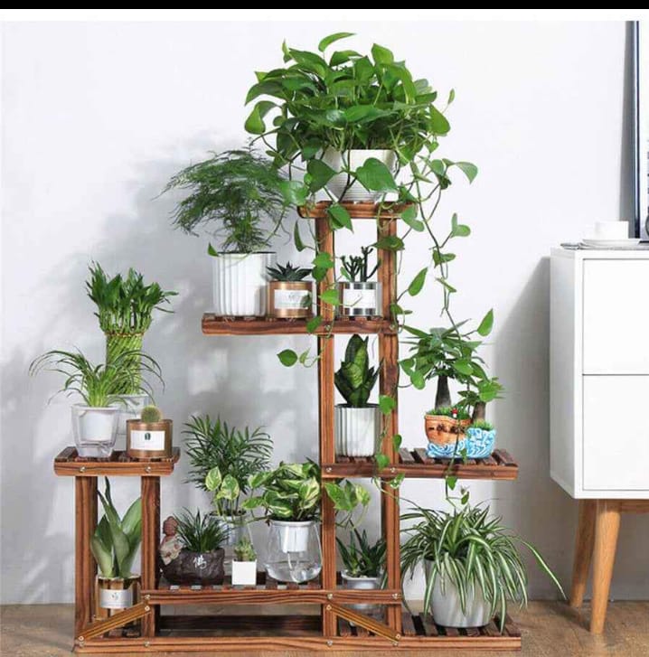 5 Tier Wooden Plant Stand