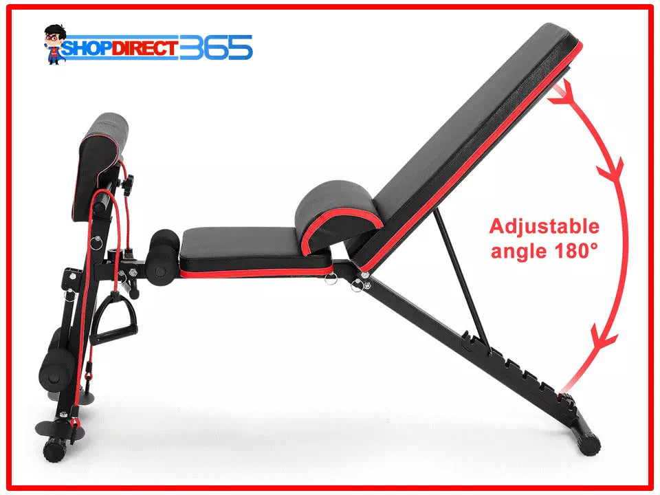 Foldable Dumbbell Gym Bench