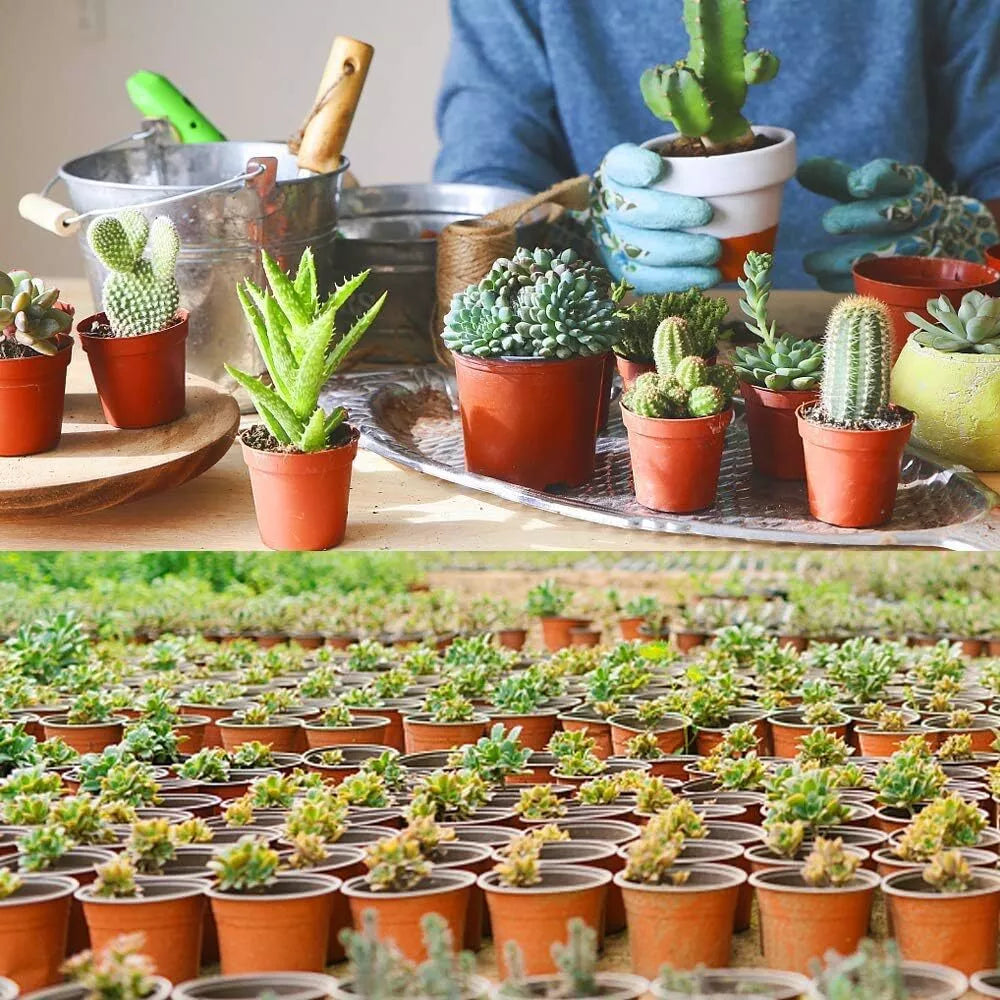 200Pcs Plastic Plant Pots